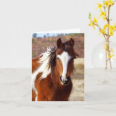 Schöne Paint Horse Mitteilungskarten (Gelbe Blume)