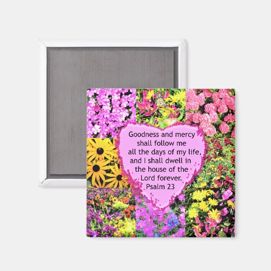 SCHÖNE PALMA 23-DESIGN MAGNET (Vorderseite/Rückseite)