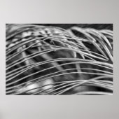 Schöne Palmbaumblätter Poster (Vorne)