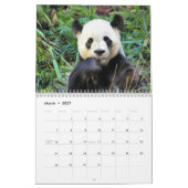 Schöne Panda Bears Schöne Naturfotografie Kalender (Mär 2027)
