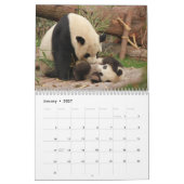Schöne Panda Bears Schöne Naturfotografie Kalender (Jan 2027)