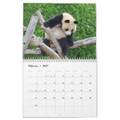 Schöne Panda Bears Schöne Naturfotografie Kalender (Feb 2027)