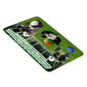 Schöne Panda-Schrift Magnet-Psalmen 16:11 Magnet (Rechte Seite)