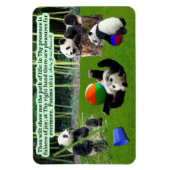 Schöne Panda-Schrift Magnet-Psalmen 16:11 Magnet (Vertikal)
