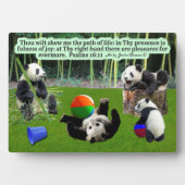 Schöne Panda Scripture Plaque Psalms 16:11 Fotoplatte (Vorderseite)