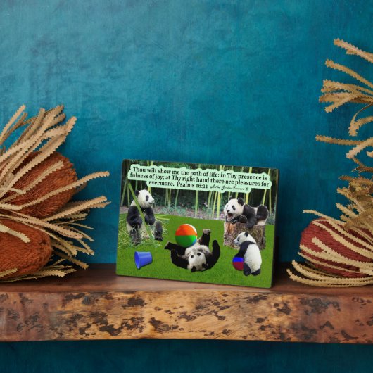 Schöne Panda Scripture Plaque Psalms 16:11 Fotoplatte (Seite)