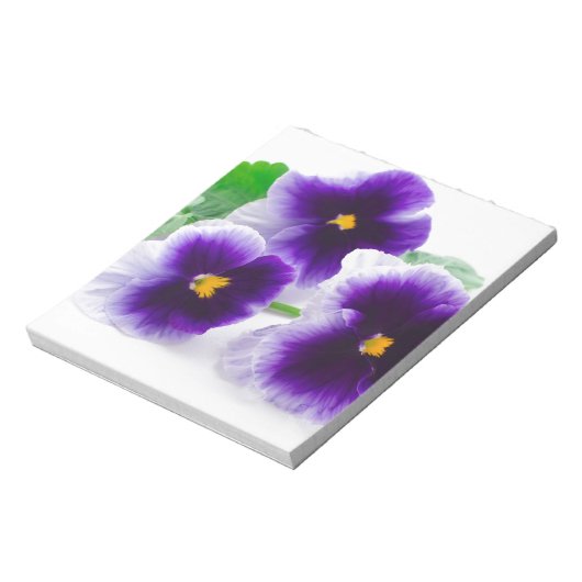 schöne Pansy-Blume abgeschieden auf weißem Hinterg Notizblock (Rotiert)