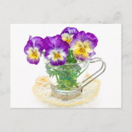 schöne Pansy-Blume abgeschieden in einer Tasse Postkarte
