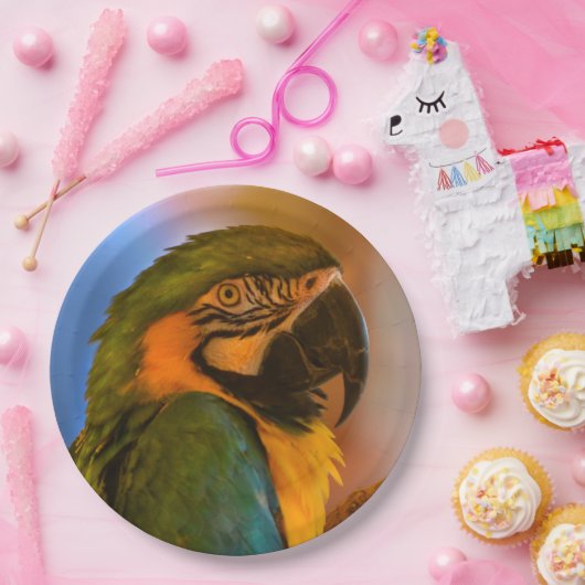 Schöne Papagepapierplatte Pappteller (Party)