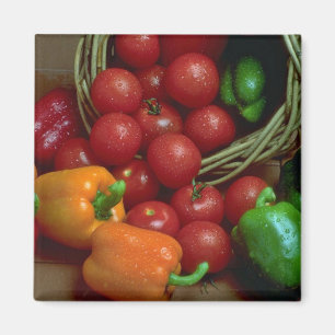 Schöne Paprikaschoten und Tomaten Magnet