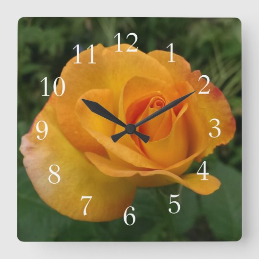 Schöne Peach-Rose Quadratische Wanduhr (Vorderseite)