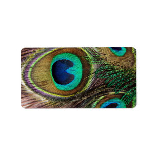 Schöne Peacock Feathers Adressaufkleber