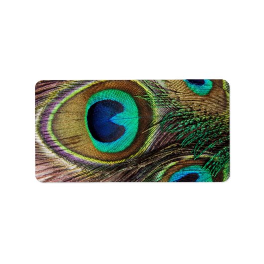 Schöne Peacock Feathers Adressaufkleber (Vorne)