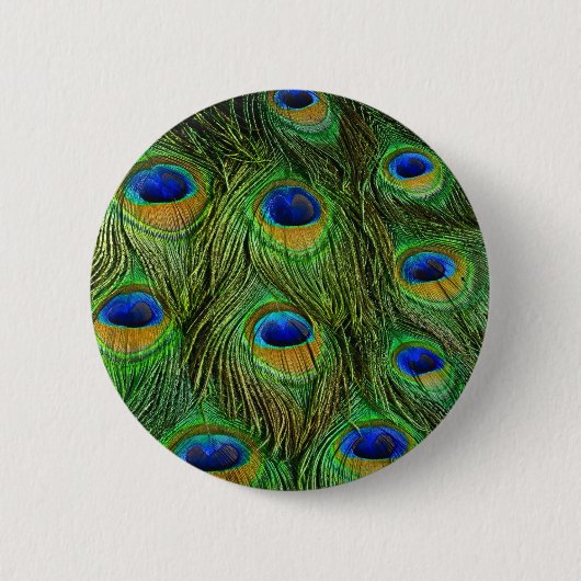 Schöne Peacock Feathers Button (Vorderseite)