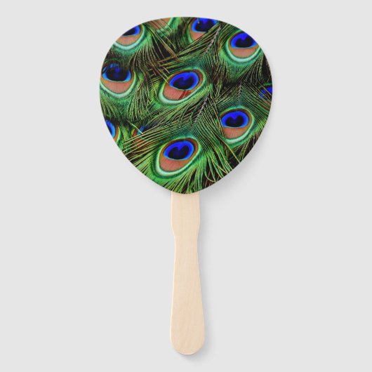Schöne Peacock Feathers Fächer (Rückseite)