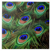 Schöne Peacock Feathers Fliese (Vorderseite)