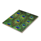 Schöne Peacock Feathers Fliese (Seite)