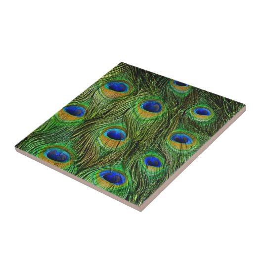 Schöne Peacock Feathers Fliese (Seite)