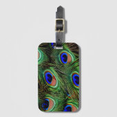 Schöne Peacock Feathers Gepäckanhänger (Vorderseite Vertikal)