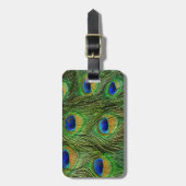 Schöne Peacock Feathers Gepäckanhänger (Vorderseite vertikal)