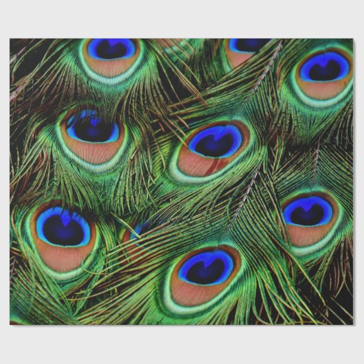 Schöne Peacock Feathers Geschenkpapier (Flach)