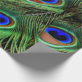 Schöne Peacock Feathers Geschenkpapier (Ecke)