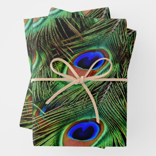 Schöne Peacock Feathers Geschenkpapier Set (Beispiel)