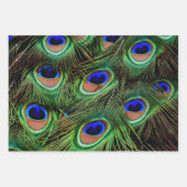 Schöne Peacock Feathers Geschenkpapier Set (Vorderseite)