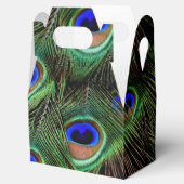 Schöne Peacock Feathers Geschenkschachtel (Geöffnet)