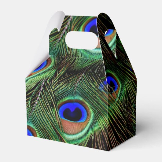 Schöne Peacock Feathers Geschenkschachtel (Vorderseite)