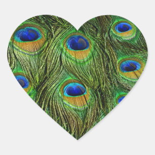 Schöne Peacock Feathers Herz-Aufkleber