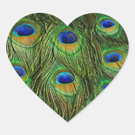 Schöne Peacock Feathers Herz-Aufkleber (Vorderseite)