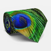 Schöne Peacock Feathers Krawatte (Gerollt)