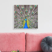 Schöne Peacock Feathers Leinwanddruck (Insitu (Wohnzimmer))