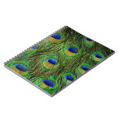 Schöne Peacock Feathers Notizblock (Linke Seite)