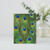 Schöne Peacock Feathers Postkarte (Stehend Vorderseite)