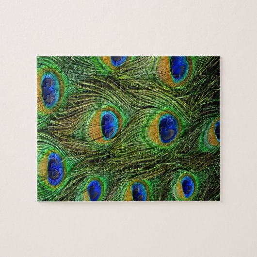 Schöne Peacock Feathers Puzzle (Horizontal)