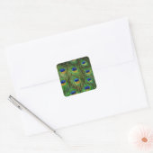 Schöne Peacock Feathers Quadratischer Aufkleber (Umschlag)