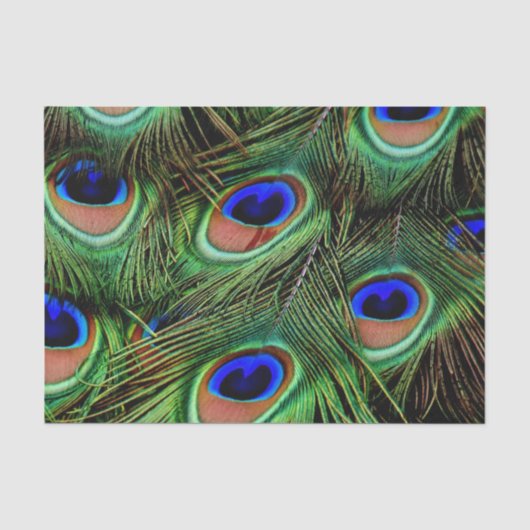 Schöne Peacock Feathers Seidenpapier (Vorderseite)