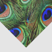 Schöne Peacock Feathers Seidenpapier (Ausschnitt)