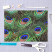 Schöne Peacock Feathers Seidenpapier (Handwerk)