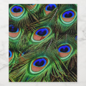 Schöne Peacock Feathers Weinetikett (Einzelnes Label)