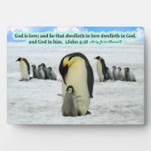 Schöne Penguin Scripture Plaque 1 John 4:16 Fotoplatte (Vorderseite)
