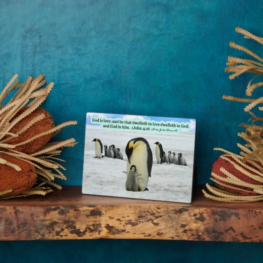Schöne Penguin Scripture Plaque 1 John 4:16 Fotoplatte (Seite)