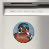 Schöne Pensive Holzente im Marsch Magnet (In Situ (Geschirrspüler))