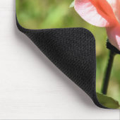 Schöne, perfekt rosa Rose Blume Mousepad (Ecke)