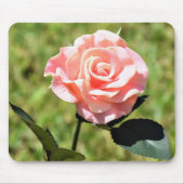 Schöne, perfekt rosa Rose Blume Mousepad (Vorne)