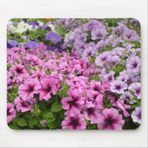 Schöne Petunia-Blume Mousepad