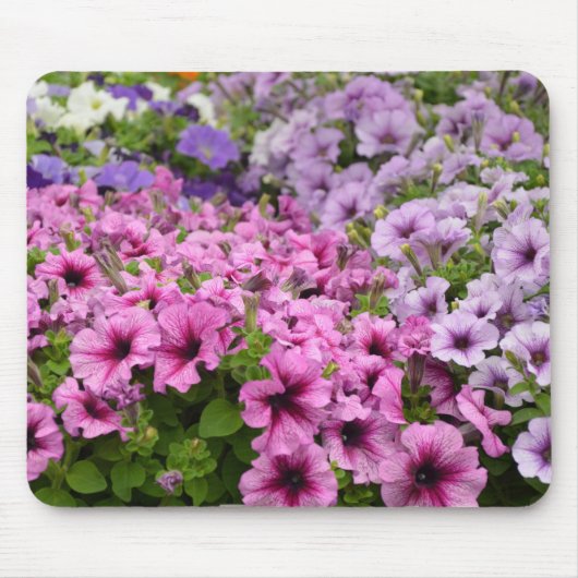 Schöne Petunia-Blume Mousepad (Vorne)