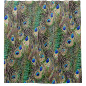 Schöne Pfau-Federn Duschvorhang (Vorderseite)